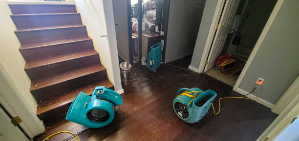 Best Water damage restoration near me  in Patrick Springs, VA