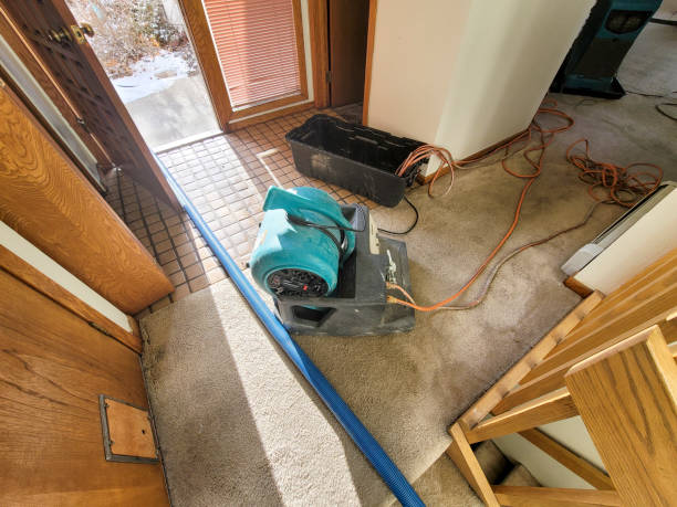 Best Water damage cleanup near me  in Patrick Springs, VA
