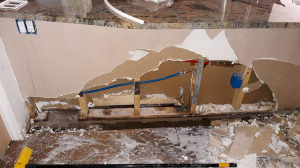 Best Mold removal after water damage  in Patrick Springs, VA