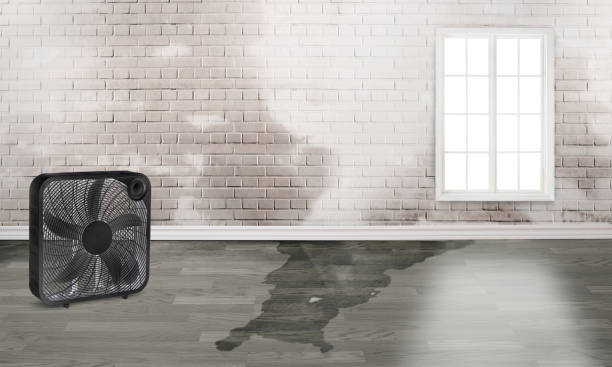 Best 24-hour water damage restoration  in Patrick Springs, VA
