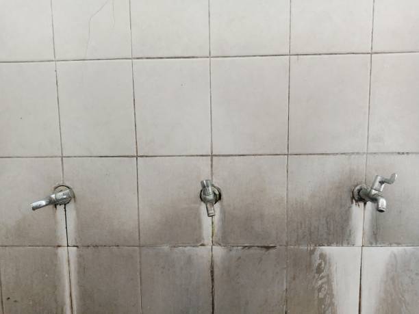 Best Flood damage cleanup  in Patrick Springs, VA
